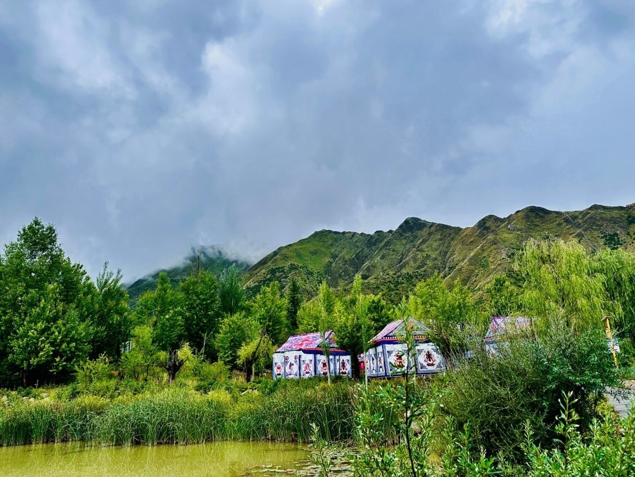 郁郁蔥蔥的南山公園。人民網(wǎng)記者 益西康珠攝