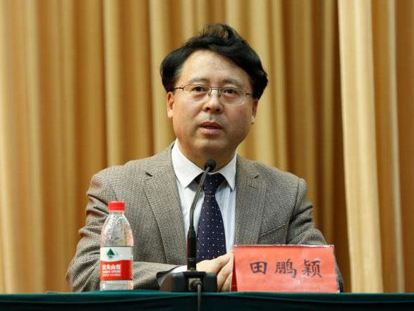 田鵬穎：投入其中、樂在其中、安身其中